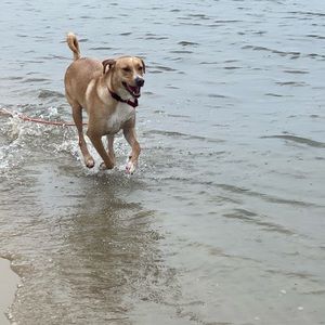 Shop on vacation at the end of the week!